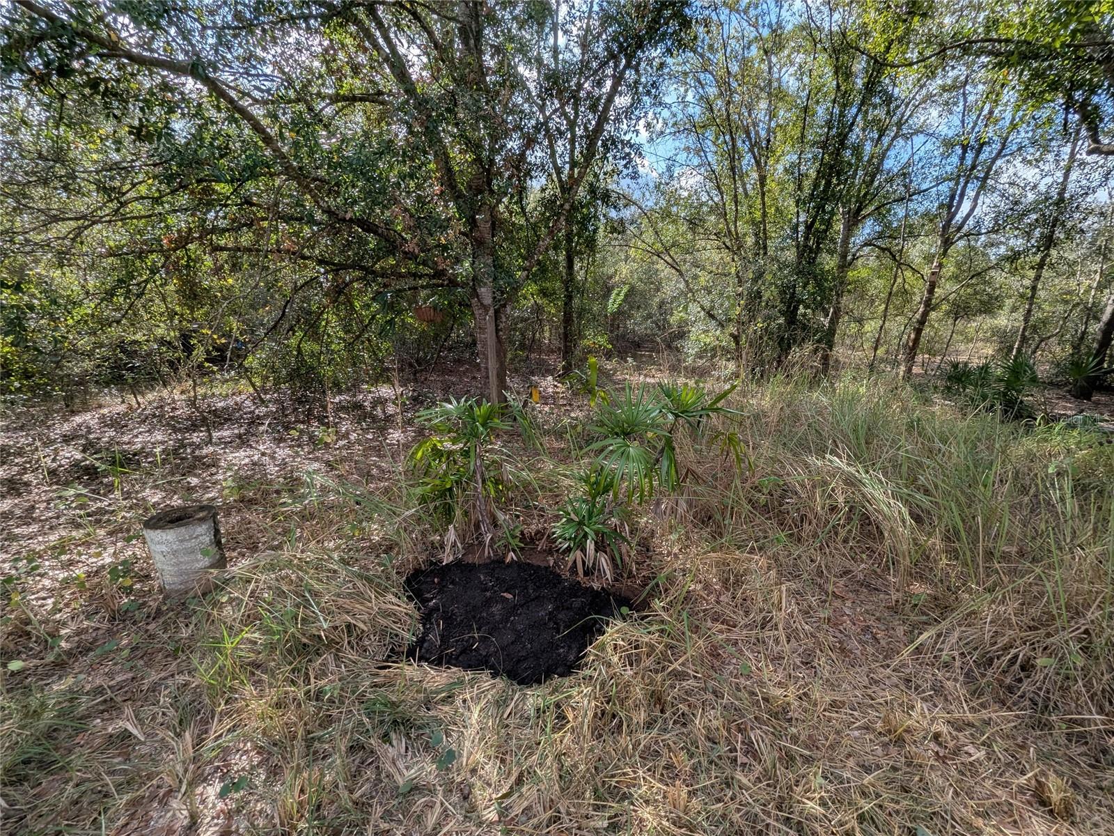 MEADOWS/ARCADIA - Residential