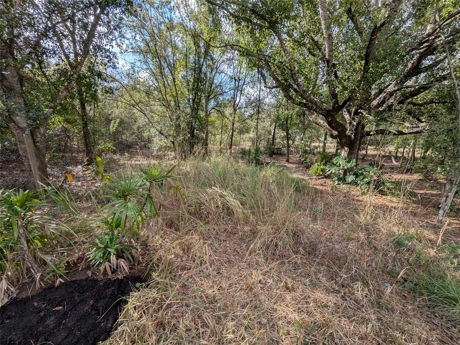 MEADOWS/ARCADIA - Residential