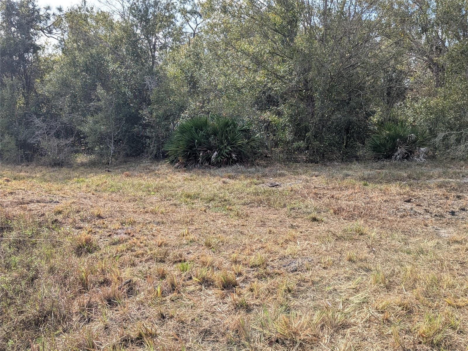 MEADOWS/ARCADIA - Residential