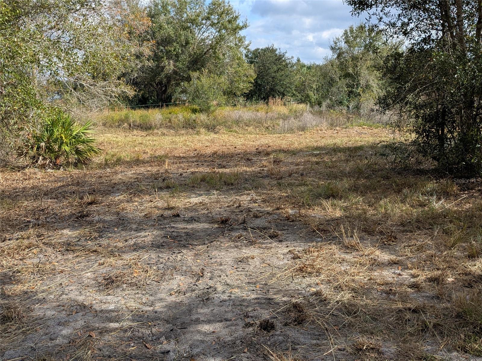 MEADOWS/ARCADIA - Residential