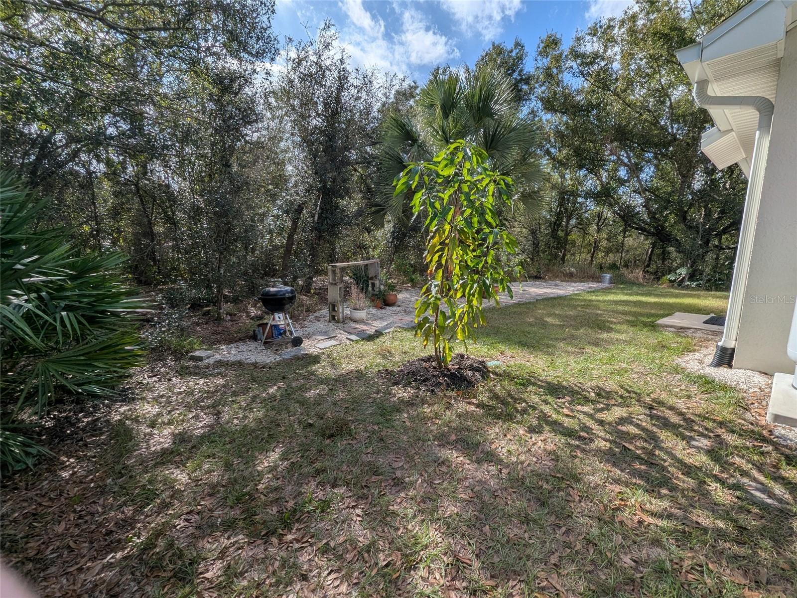 MEADOWS/ARCADIA - Residential