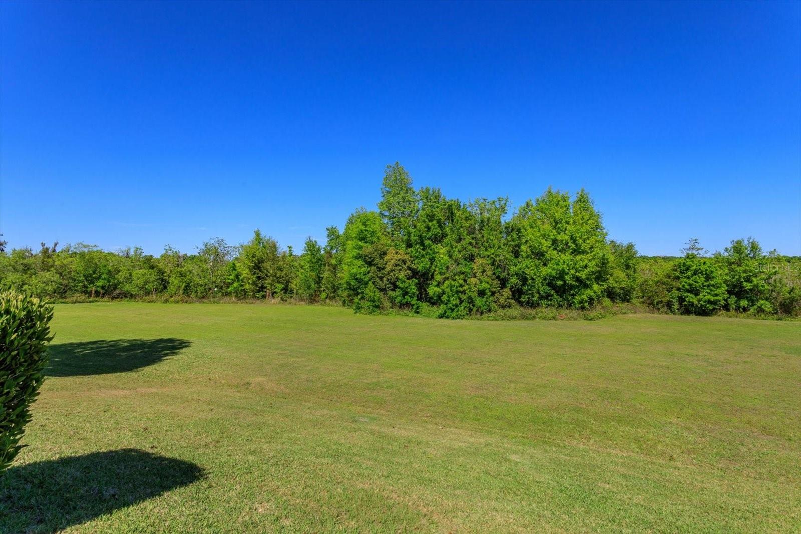 MOUNT DORA SUMMERBROOKE PH 01 - Residential