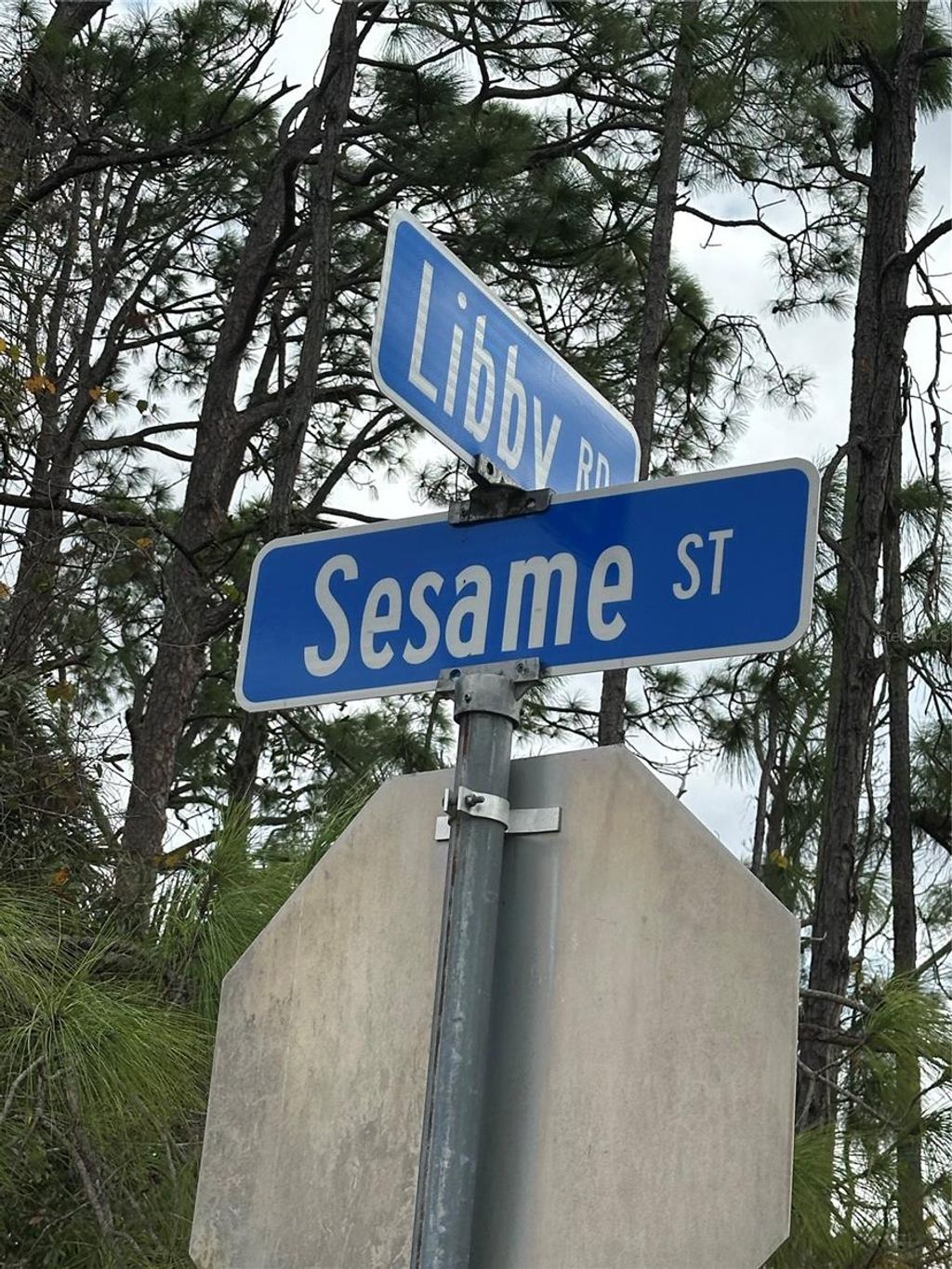 Photo of Libby Road, North Port, FL 34287 (MLS # A4678519)