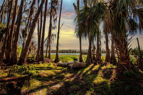 1 ALDERMAN TURNER ROAD WIMAUMA FL 33598