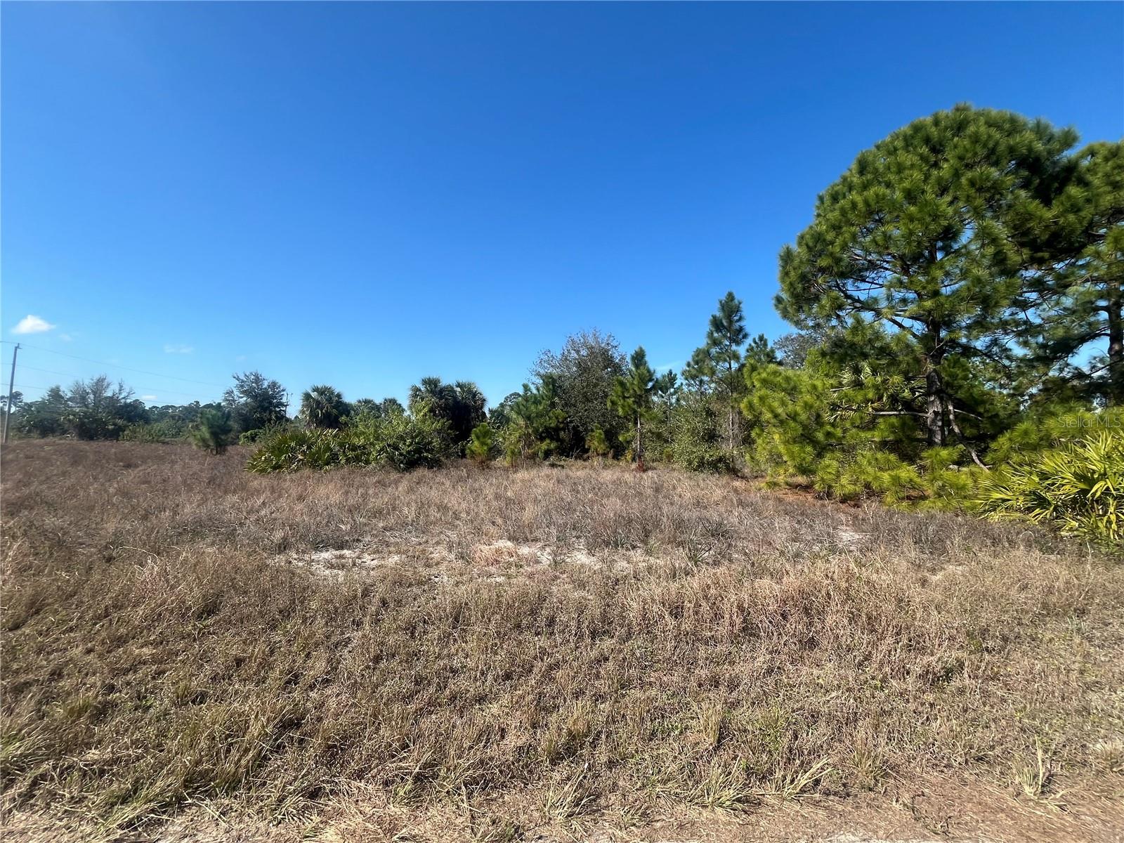 Build your dream house on this beautiful, lot in Lehigh Acres. New and existing homes already in the area waiting for your home to be built. Electricity nearby making it easy to access power. Quiet neighborhood but minutes from shopping, restaurants, schools and all the amenities Lehigh Acres, Ft Myers and Ft Myers Beach has to offer. This lot is listed below market value. Buying land in Florida is a solid investment for your future, build your dream home, vacation home, rental investment or let the land build value as a great long-term investment to resell for a future profit. This is one of the best priced parcels in the area, so make your move today and make this property YOURS.