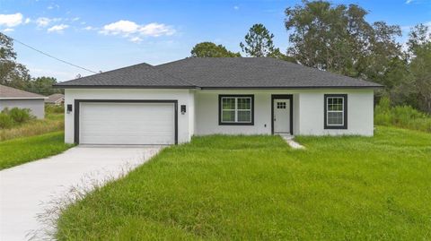 Photo of 225 Malauka Run N, Ocklawaha, FL 32179 (MLS # O6282347)