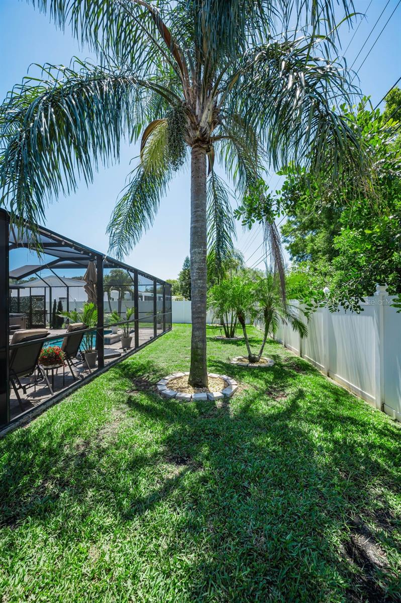 CURLEW CITY - Residential