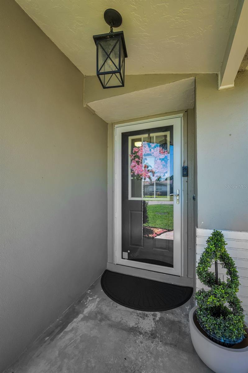 CURLEW CITY - Residential