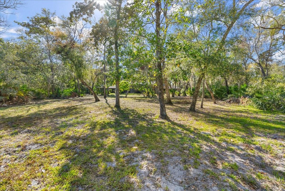 BULOW OAKS EAST UNREC - Residential