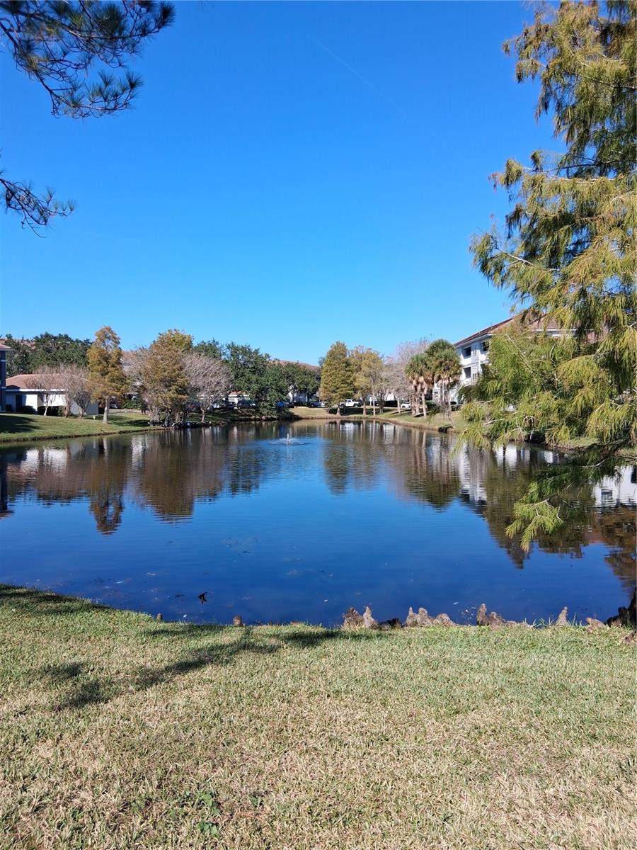 AUDUBON VILLAS AT HUNTERS CREEK - Residential Lease