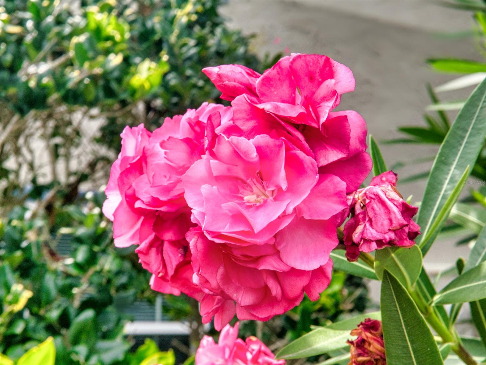 Sun Beach Club Condo Ph 01-03 - Residential