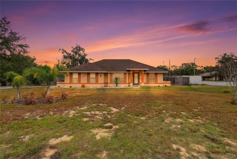 Photo of 502 S Dixie Drive, Howey In The Hills, FL 34737 (MLS # O6370753)