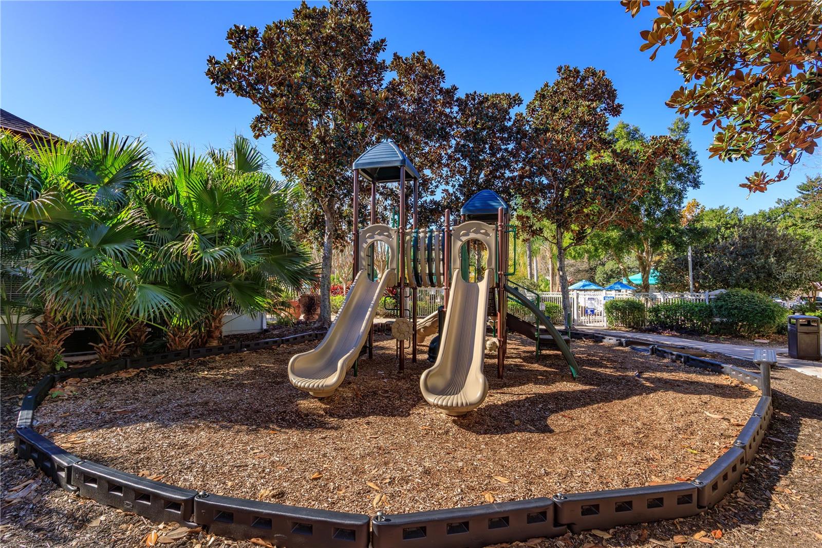 DISCOVERY PALMS - Residential