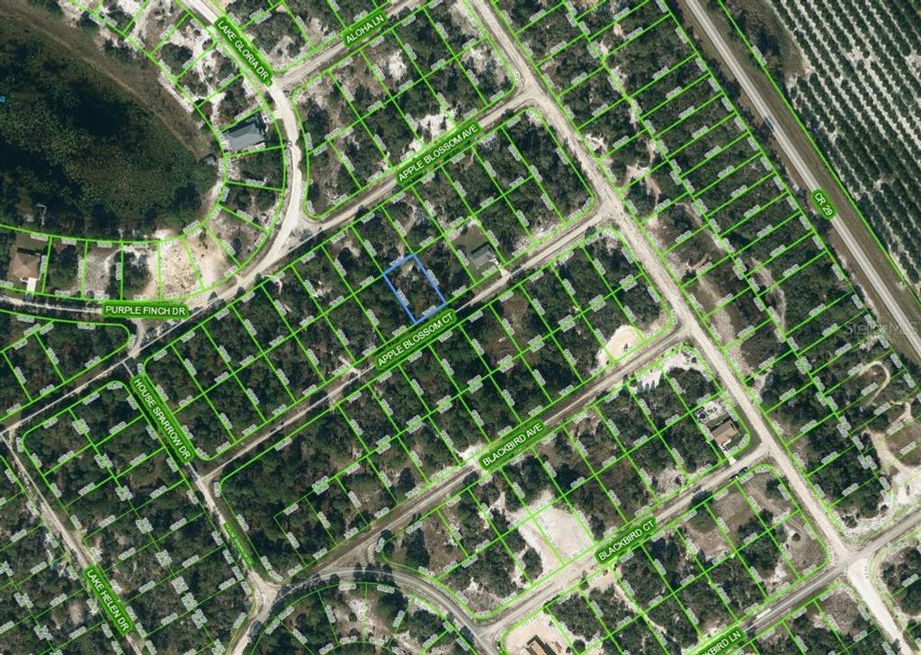 Photo of 448 Apple Blossom Court, Lake Placid, FL 33852 (MLS # OM624324)