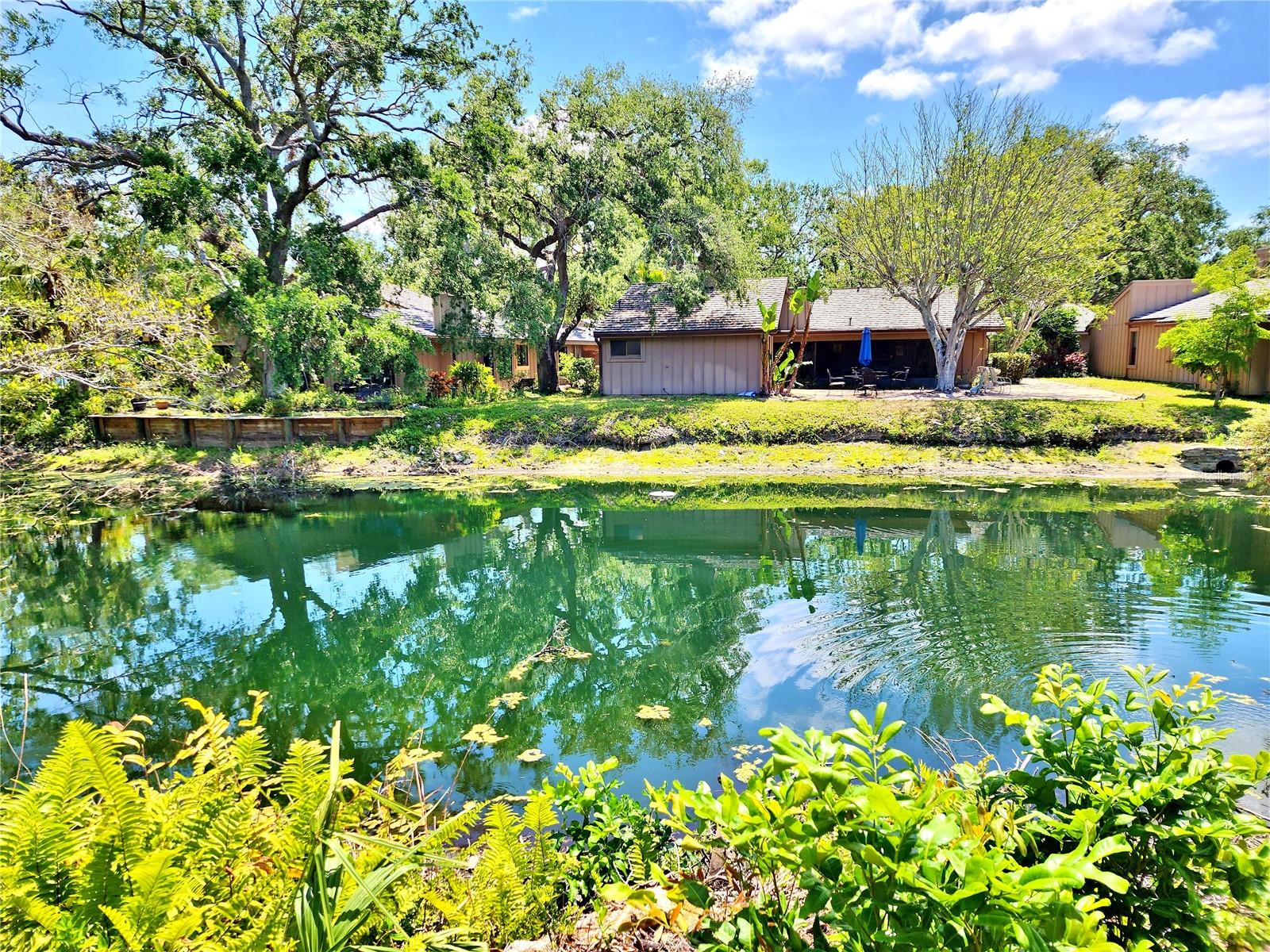 ***13 Month Home Warranty Included***
Welcome to nature in the middle of West Bradenton. Centrally Located with Water view in rear and unbelievable mature Oak Trees throughout. New Garage Door 2020, New Air Conditioner 2020, 10 Minutes to the Beaches, 1 Minute to the Blake Hospital, Cafe's and restaurants, 3 minutes to GT Bray Park. A Unique Community in West Bradenton and Forest oasis in the city with community pool and hot tub. This three bedroom, two bathroom, two car garage home features cathedral ceilings, an open floorplan and split bedroom design. Added Florida room for that extra living space and a nice, screened lanai to enjoy the natural beauty around you. Take advantage of a unique private courtyard off the living room and third bedroom that can be landscaped as you desire or turned in to AC living space or keep as a private courtyard. The community pool, landscaping, grass and irrigation is maintained by the Association, great for those living here year-round or for the Winter season snowbirds. Located on a cul-de-sac in a mature landscaped community, your own Florida oasis. Minutes to our pristine Florida beaches with multiple road directions to ensure minimal to no traffic when getting around town.