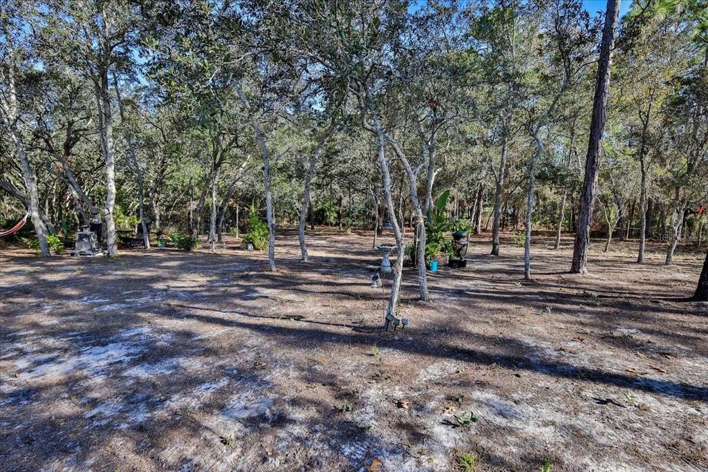 Photo of 11360 Mountain Bluebird Road, Brooksville, FL 34614 (MLS # W7881949)