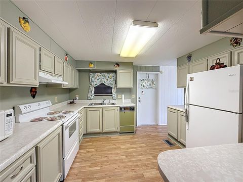 Tiny photo for 1231 Elkhart Circle, Tavares, FL 32778 (MLS # G5110520)