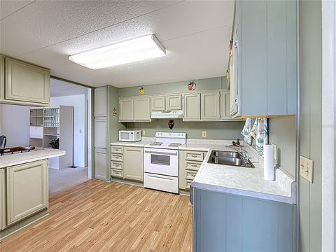 Tiny photo for 1231 Elkhart Circle, Tavares, FL 32778 (MLS # G5110520)