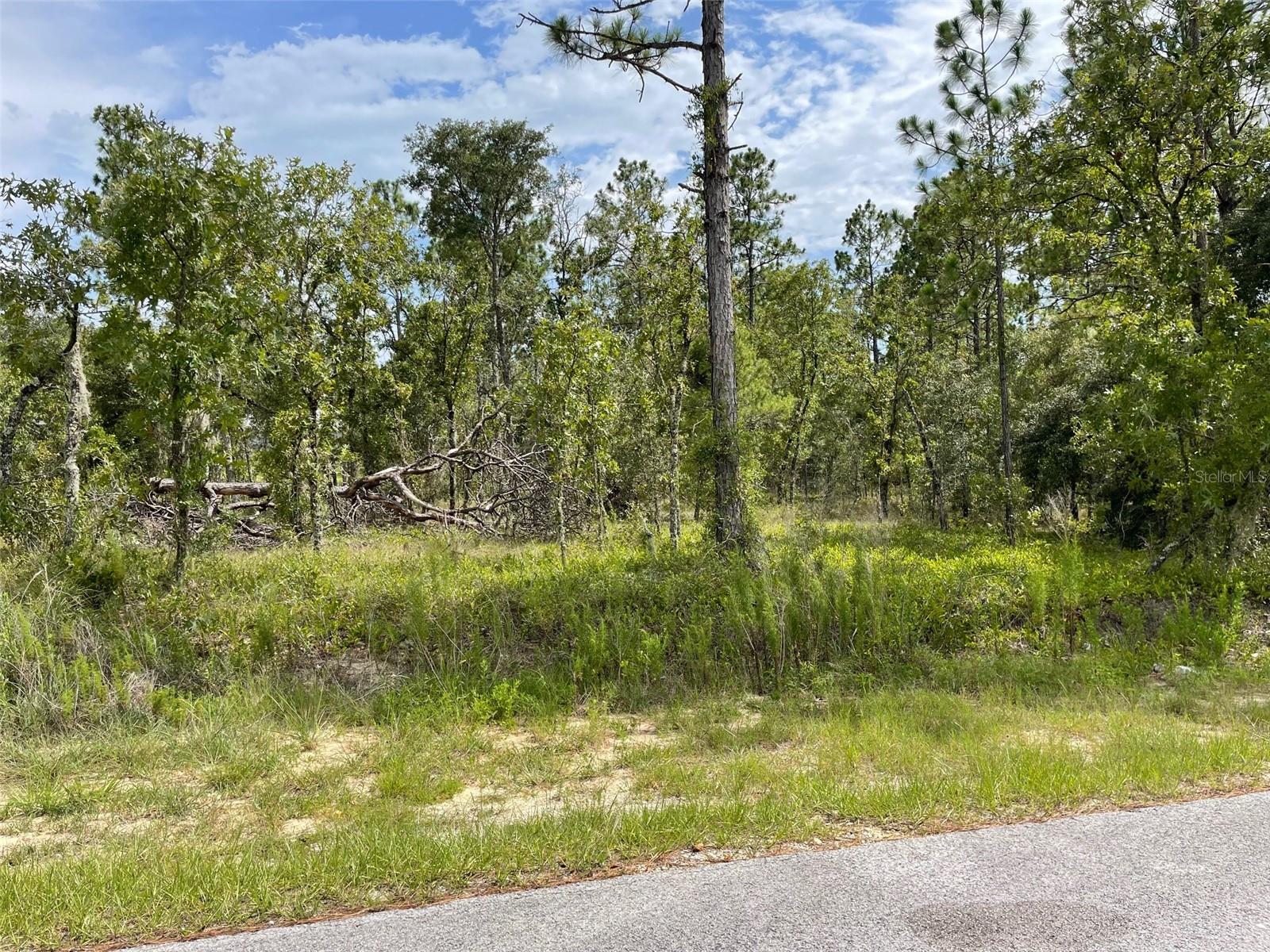 BUILD YOUR DREAM HOME ON THIS VERY NICE 1/4 ACRE (0.24 Acres). NO MOBILE HOMES. LOCATED ON A PAVED ROAD WITH NO HOA FEES OR TIME LIMIT TO BUILD. NEAR ELECTRIC. RAINBOW LAKES ESTATES HAS 2 PLAYGOUNDS, BONABLE LAKE WITH A FISHING PIER, TIGER LAKE WITH A BOAT RAMP, EXERCISE ROOM, COMMUNITY CENTER, BASKETBALL AND TENNIS COURT. CONVENIENT TO DOWNTOWN DUNNELLON GREAT FOR QUAINT ANTIQUE SHOPS, RESTAURANTS, SHOPPING, OCALA, GAINESVILLE, CRYSTAL RIVER, GULF OF MEXICO AND THE CRYSTAL-CLEAR WATERS OF RAINBOW SPRINGS STATE PARK WHERE YOU CAN ENJOY SWIMMING, KAYAKING, CANOEING, SNORKELING, TUBING AND PICNICING.