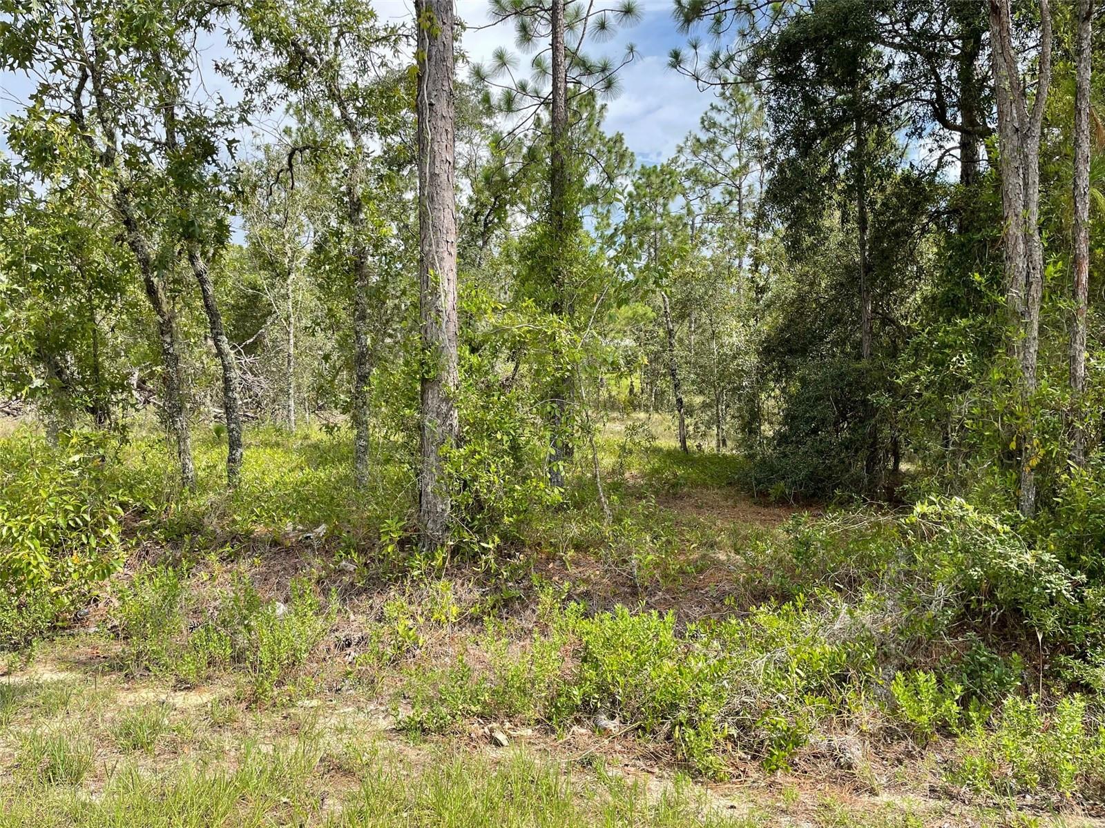 RAINBOW LAKES ESTATES - Land