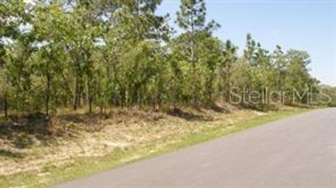 0 PETREL AVENUE WEEKI WACHEE FL 34614