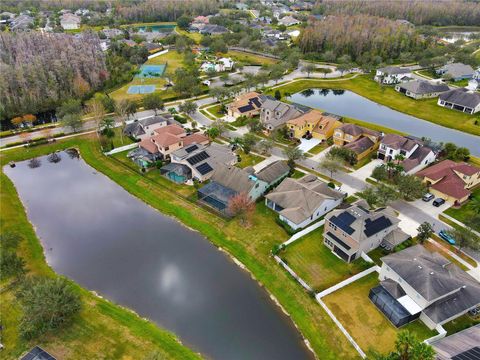 A home in TAMPA