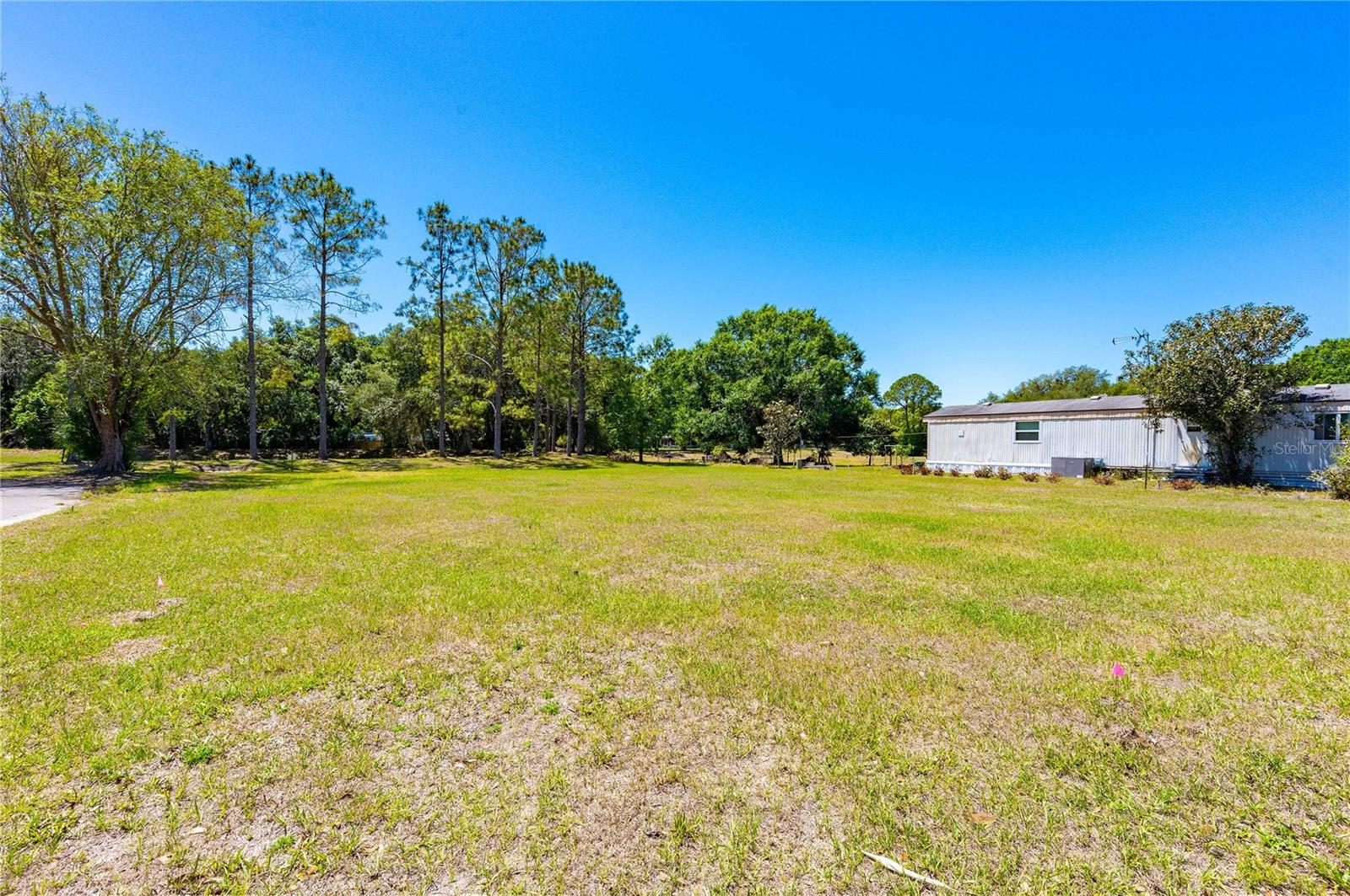 Looking for a pet friendly Florida 55+ retirement community? Are you looking to build in a prime location in Wesley Chapel? Come enjoy the sunshine! Exceptional location to build your retirement home or a winter get away place. You own the land in Terrace Park Estates 55+ community. The community offers pool, club house, shuffle, and much more! Low HOA community fee of $450/year. Investment property or a quiet place? All are available to you in this buildable lot on Chris Dr. in Wesley Chapel is zoned for ORMH. This vacant lot is 55' X 80'. LOT is CALLED PARCEL "B" IN SURVEY which is included in pictures. Call today!