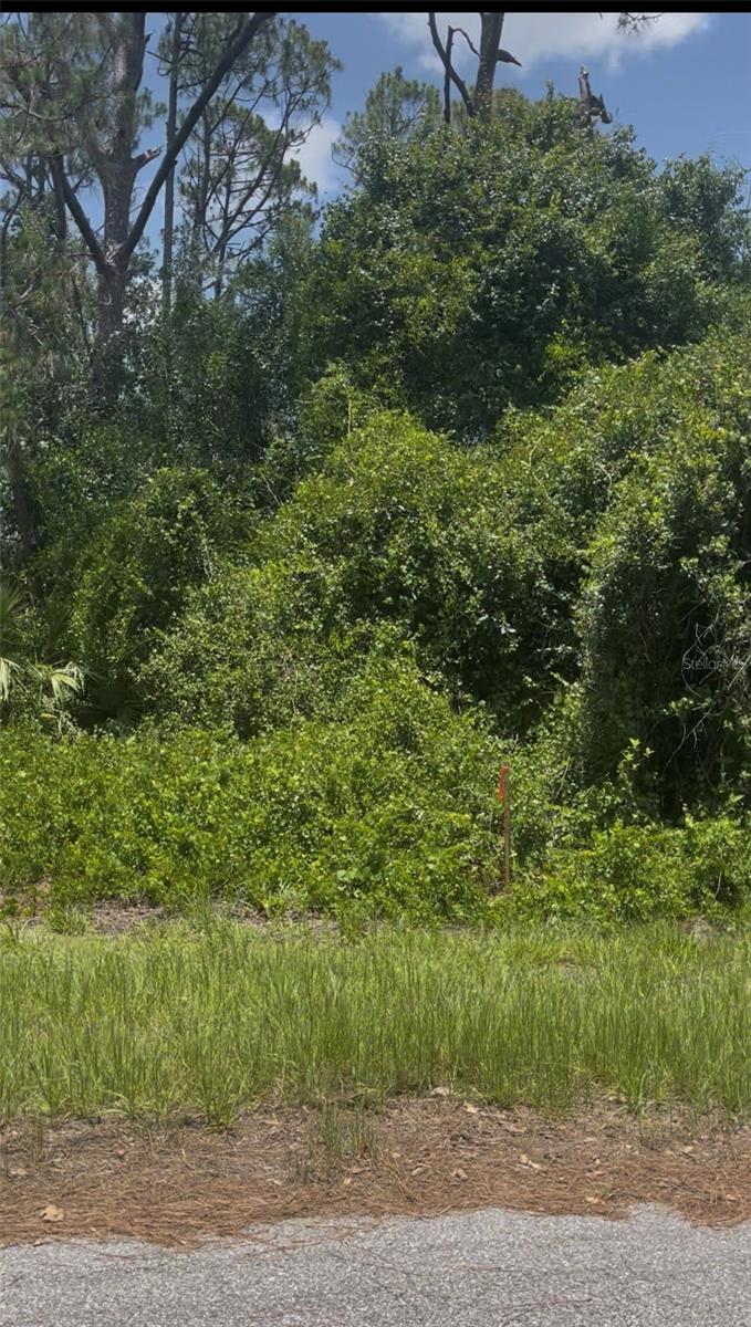 Photo of Tepee Avenue, North Port, FL 34291 (MLS # A4703681)