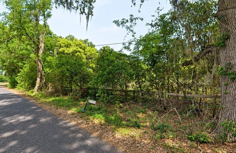 Tiny photo for NE 175th Street, Citra, FL 32113 (MLS # TB8560777)