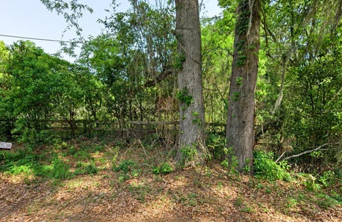 Photo of NE 175th Street, Citra, FL 32113 (MLS # TB8560777)