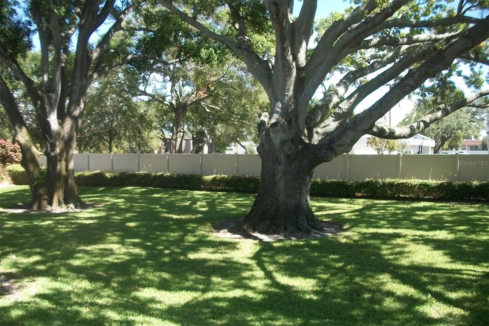 WATERFORD TWNHMS - Residential