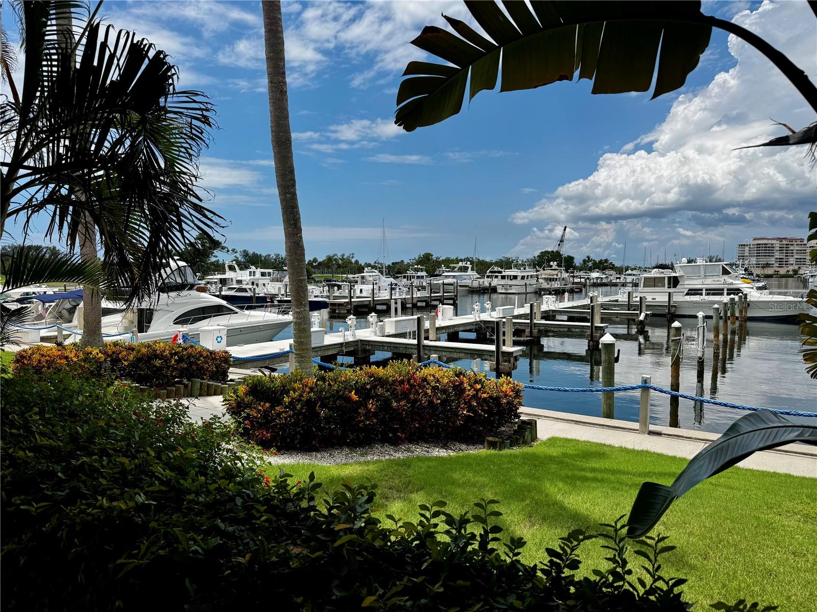 2600 HARBOURSIDE DRIVE C11