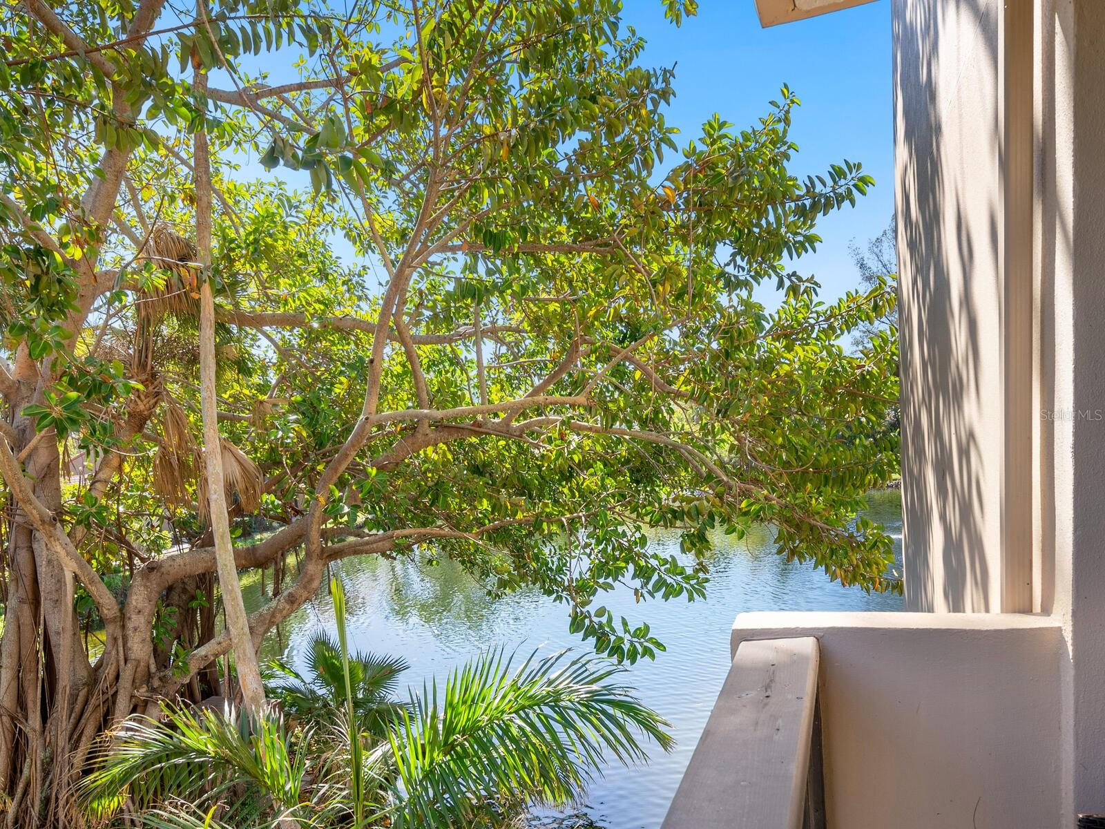 SANDY COVE - Residential