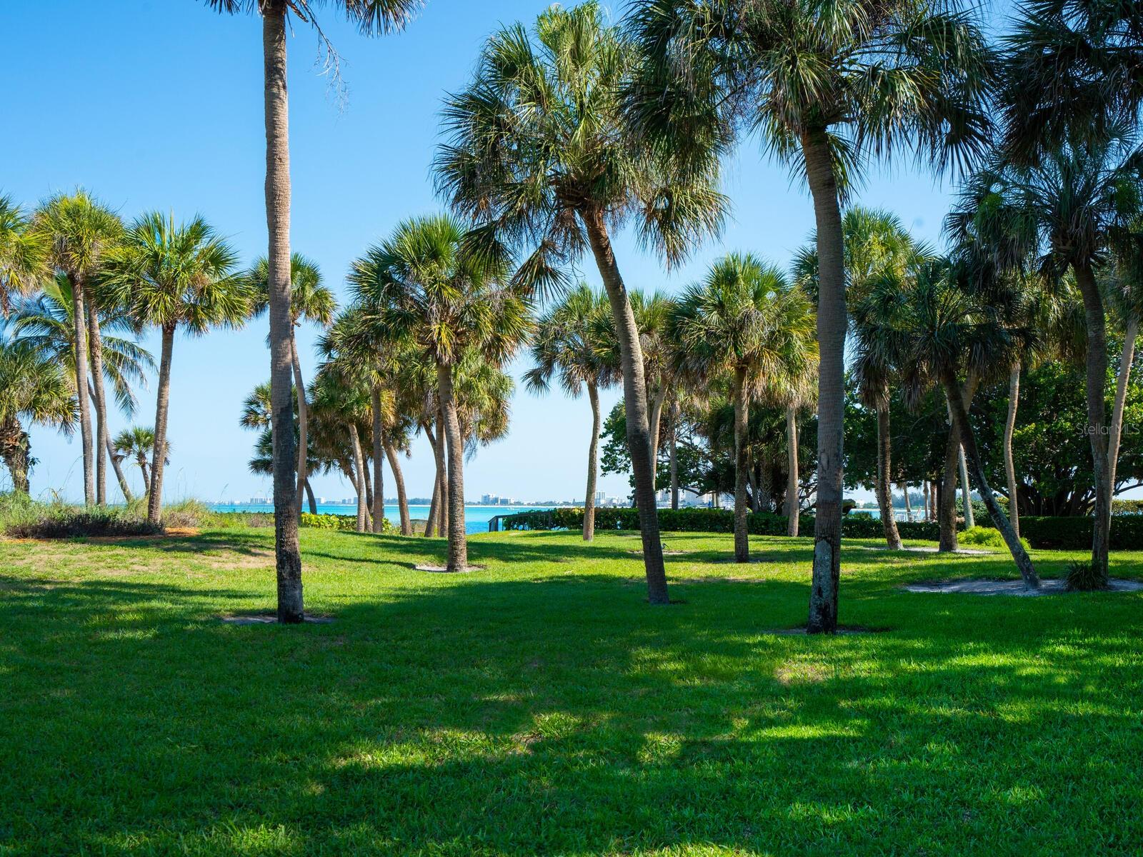 SANDY COVE - Residential