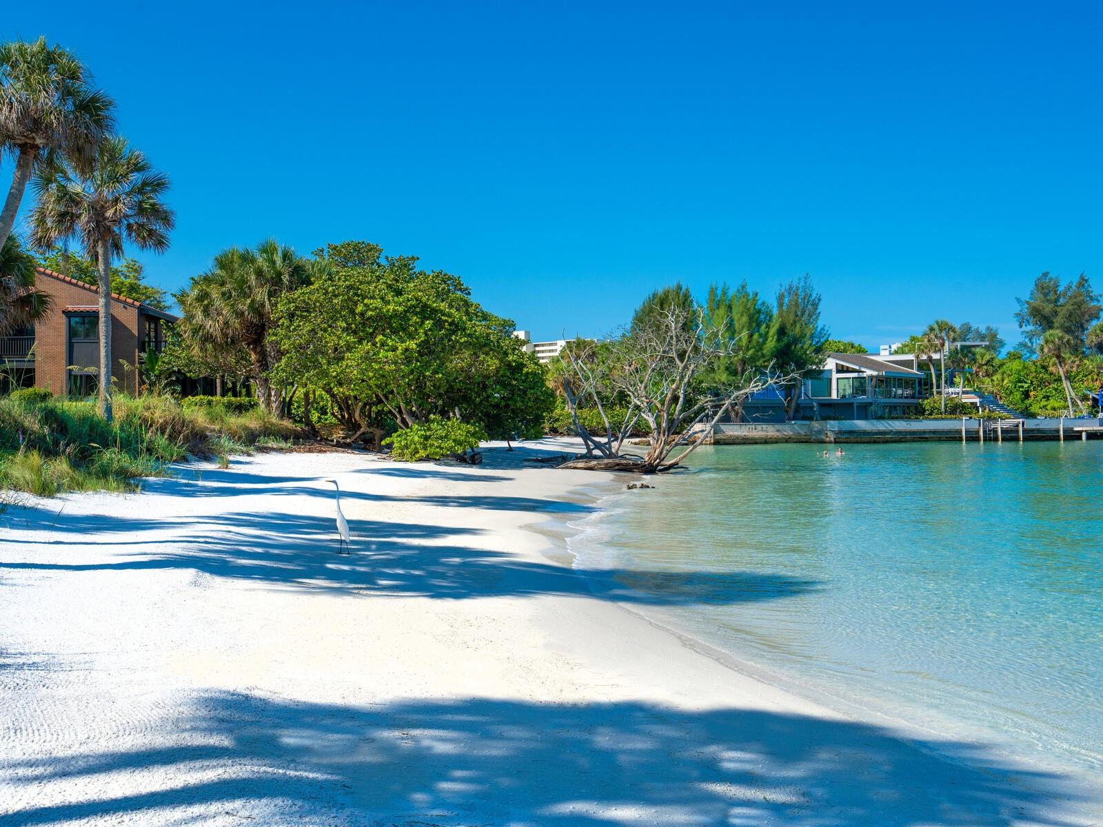 SANDY COVE - Residential