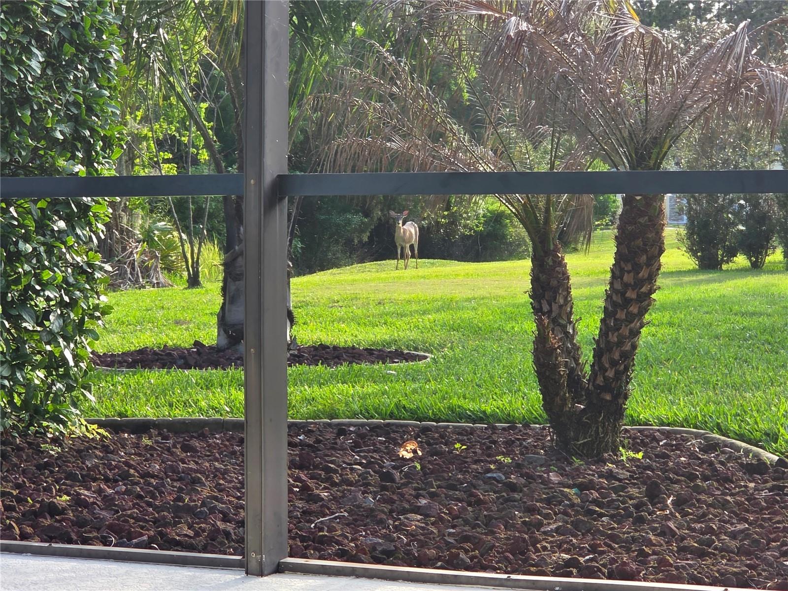 SANCTUARY PH 2 VILLAGE 10 - Residential