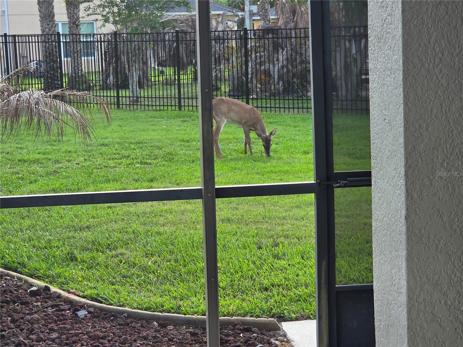 SANCTUARY PH 2 VILLAGE 10 - Residential