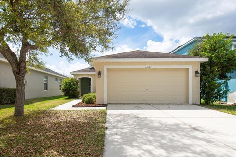 Photo of 12807 Geneva Glade Drive, Riverview, FL 33578 (MLS # TB8483496)