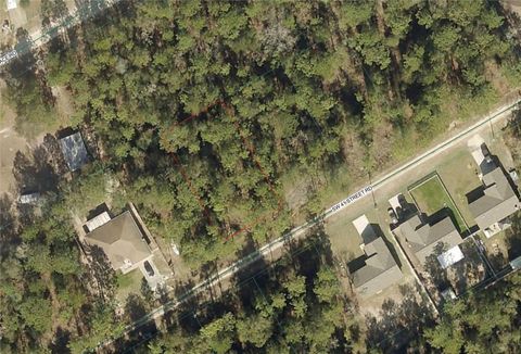 Photo of Tbd SW 41st St Road, Ocala, FL 34481 (MLS # OM721899)