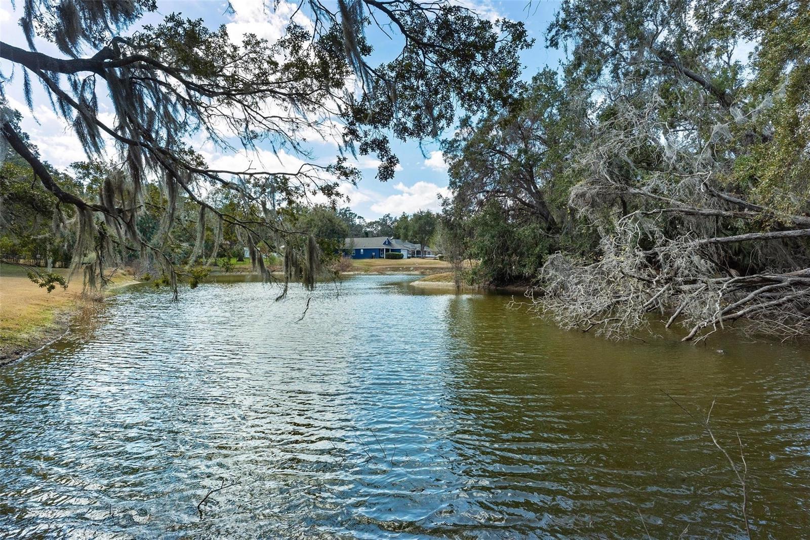SILVER LAKE ESTATES - Residential