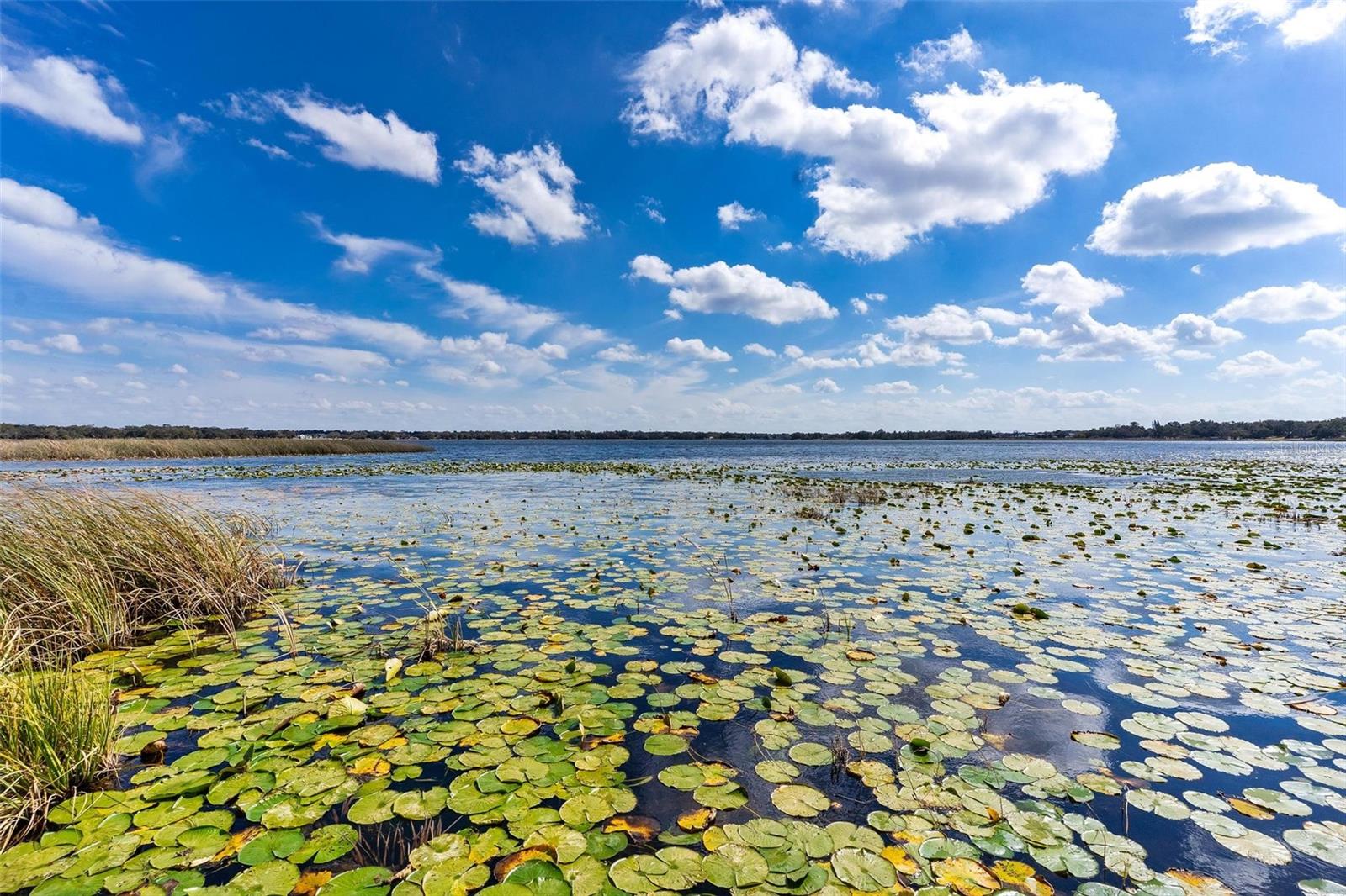 SILVER LAKE ESTATES - Residential