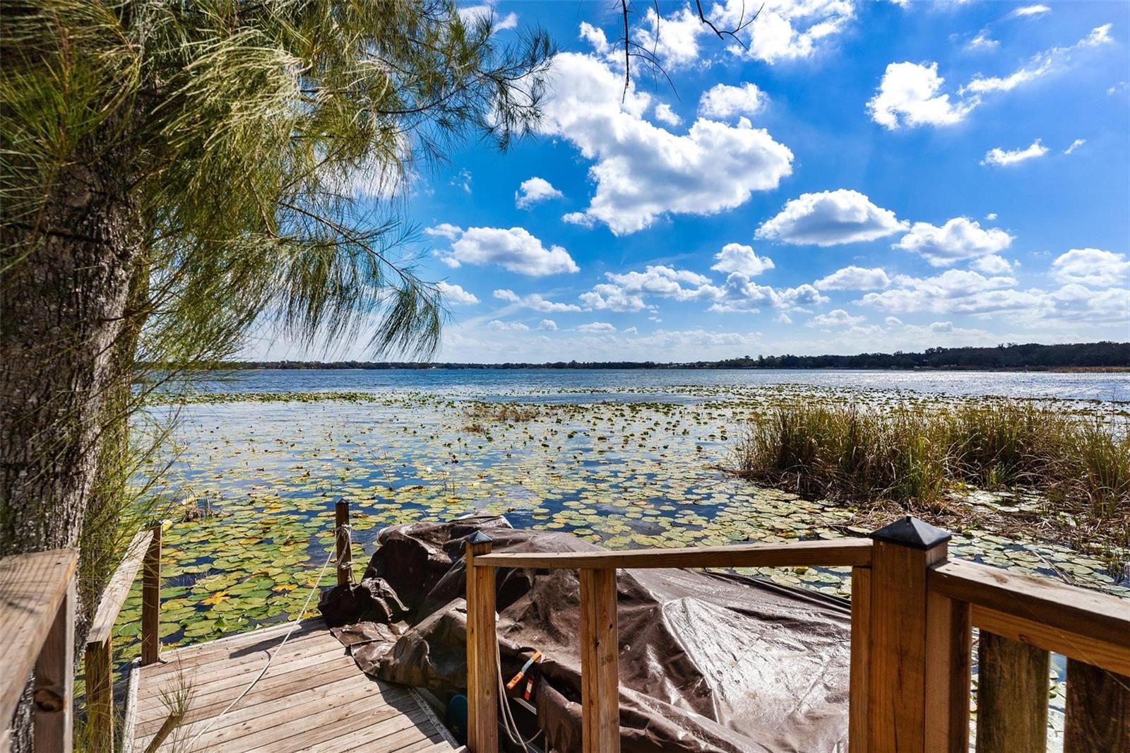 SILVER LAKE ESTATES - Residential