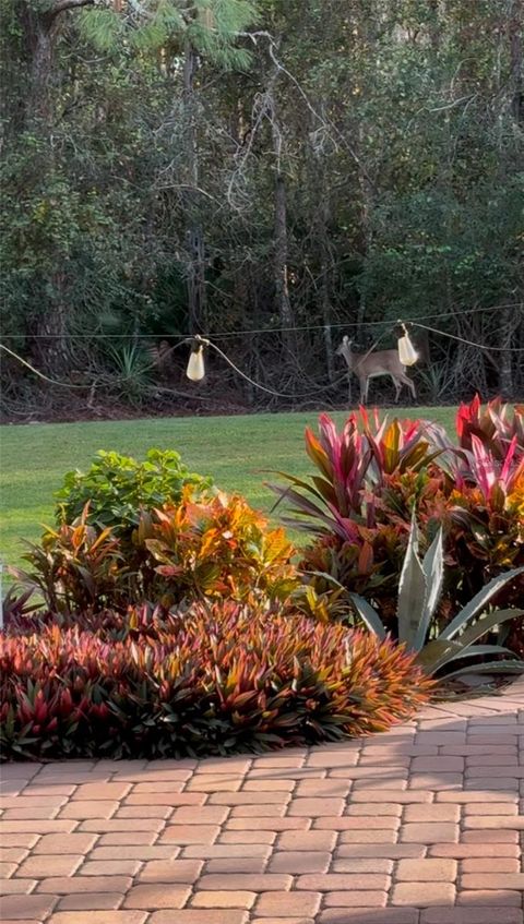 A home in ORLANDO