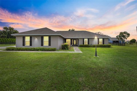 Photo of 6784 SE 89th Street, Ocala, FL 34472 (MLS # OM708447)