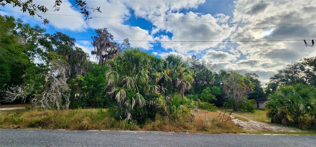 Photo of 839 Summerall Avenue, Tavares, FL 32778 (MLS # O6368058)