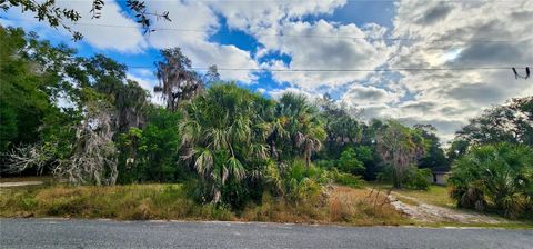 839 SUMMERALL AVENUE TAVARES FL 32778