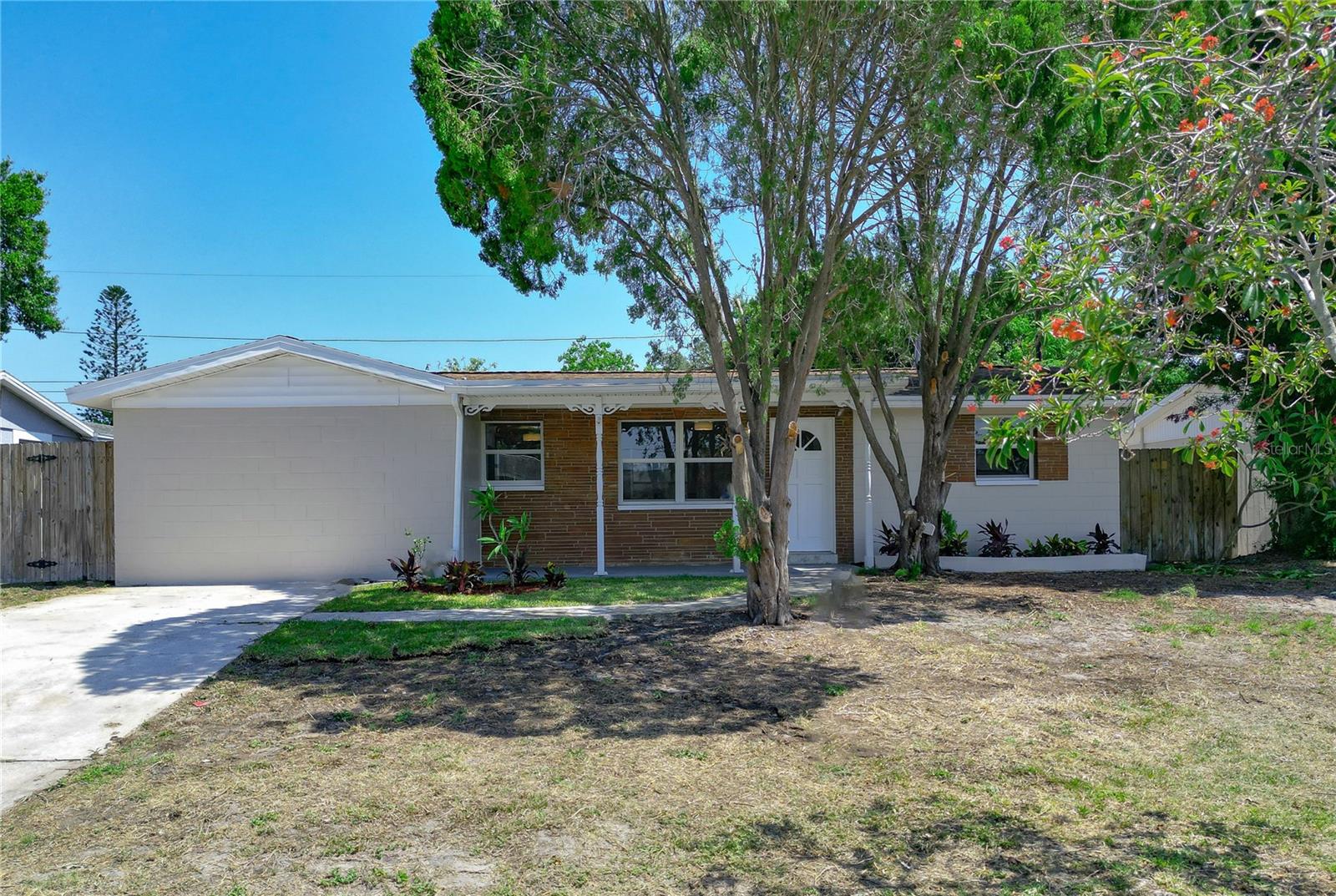 View SEMINOLE, FL 33777 house