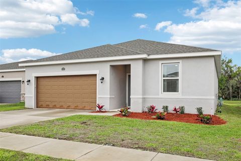 Photo of 3360 Curlew Avenue, Leesburg, FL 34748 (MLS # O6389048)