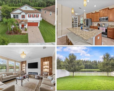 Photo of 19418 Paddock View Drive, Tampa, FL 33647 (MLS # TB8403734)