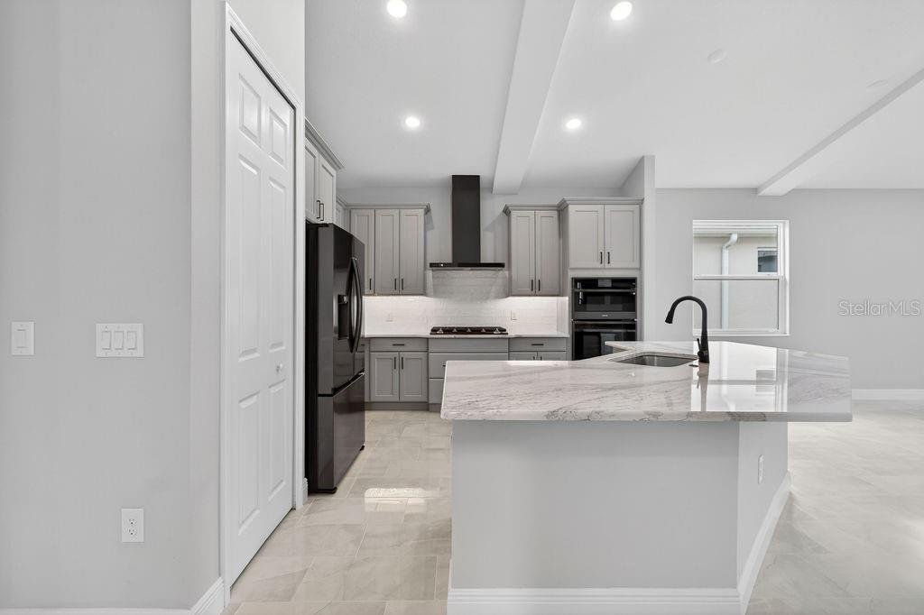 LAKES OF MOUNT DORA - Residential